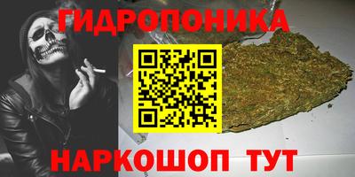 прущие грибы Туймазы