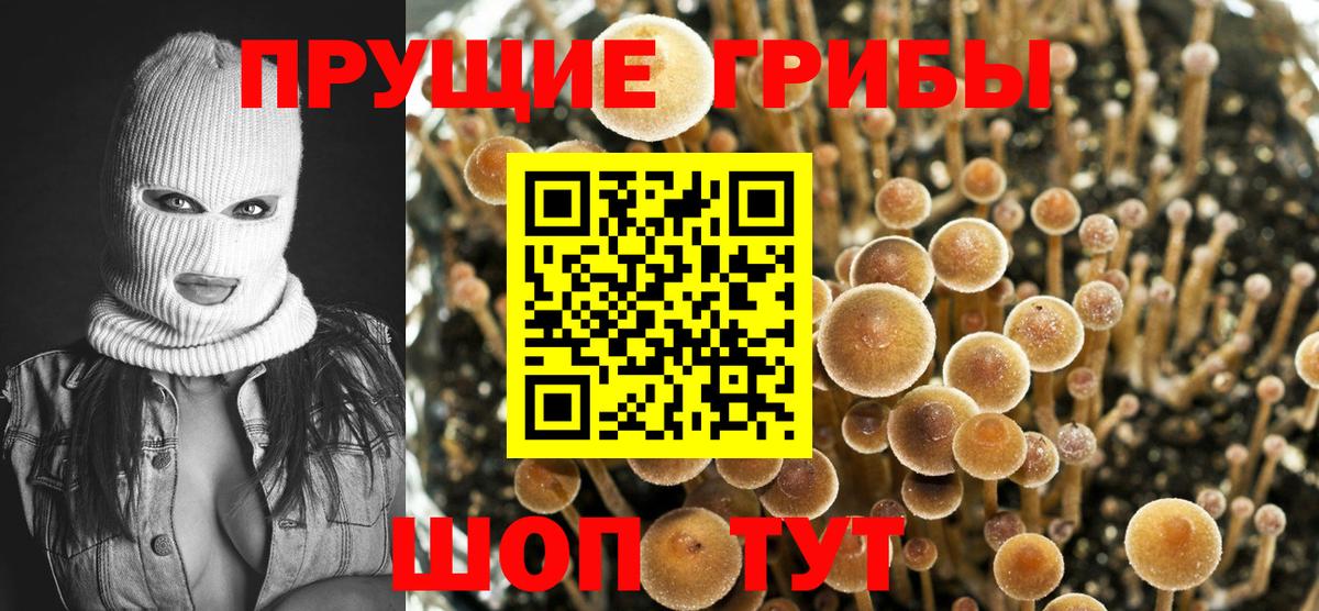 Псилоцибиновые грибы GOLDEN TEACHER  Вход с VPN  Галлюциногенные грибы прущие грибы  Батайск 